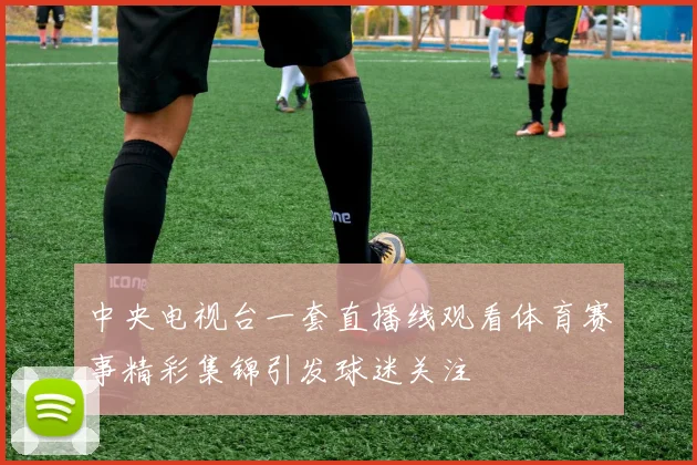 中央电视台一套直播线观看体育赛事精彩集锦引发球迷关注