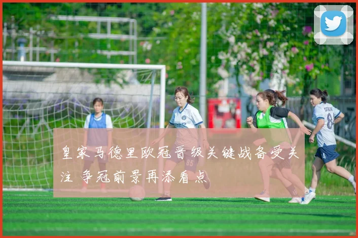 皇家马德里欧冠晋级关键战备受关注 争冠前景再添看点
